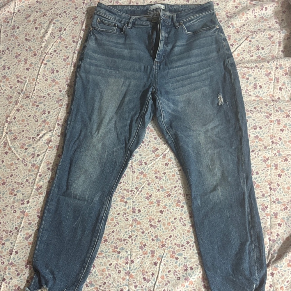 LOFT | Women’s Blue Jeans